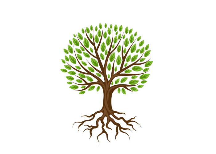 Baum mit Wurzel Baum mit Wurzel